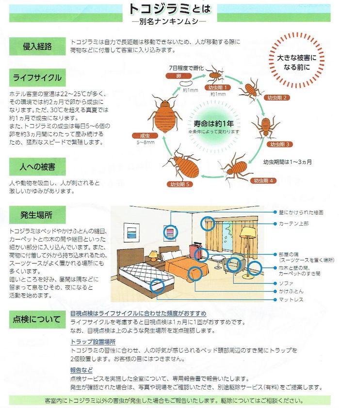 トコジラミ.jpg
