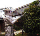 ハチ駆除作業写真２.png