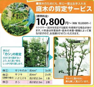 庭木の剪定サービス2016年度版.jpgのサムネール画像